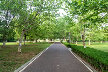 Yeni patika ve güzel ağaçlar parkta koşmak, yürümek ve bisiklete binmek için iz sürüyor. 