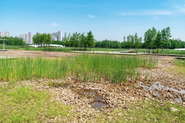 Bahar Parkı ve modern şehir