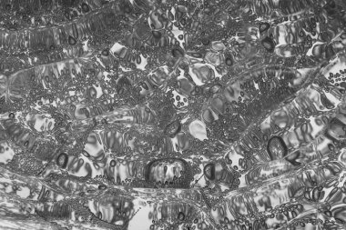 Farklı renkte plastik reçine granülasyonları 