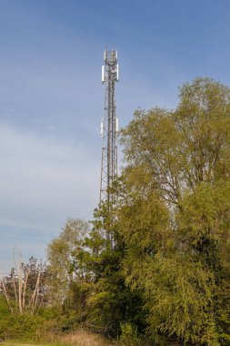 Doğada bir ağacın yanında cep telefonu ve radyo anteni var.