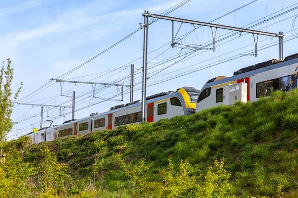 Elektrický Vlak Jede Vyvýšeném Svahu Slunečného Dne — Stock fotografie