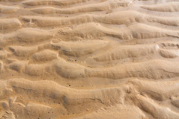 海の砂の中には様々な貝殻が見えます — ストック写真