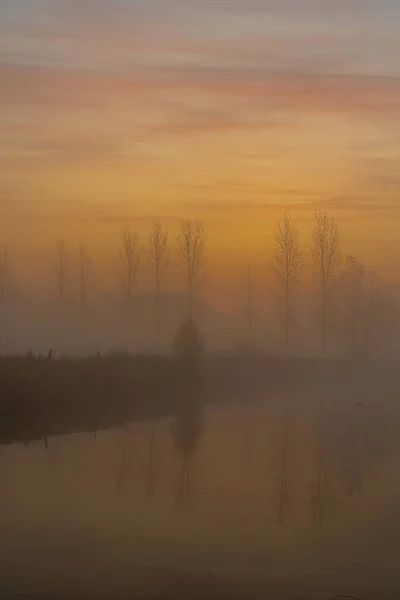 Ранним Утром Реке Дендер Туманном Солнечном Восходе — стоковое фото