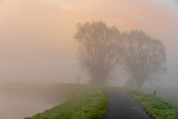 Früh Morgens Auf Dem Fluss Dender Einem Nebligen Aber Sonnigen — Stockfoto