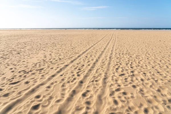 Sahilde Birkaç Parça Kuma Vardır — Stok fotoğraf