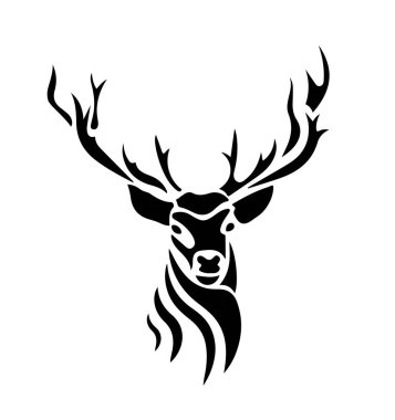 Beyaz arka planda yetişkin bir erkek geyik kafası.; 