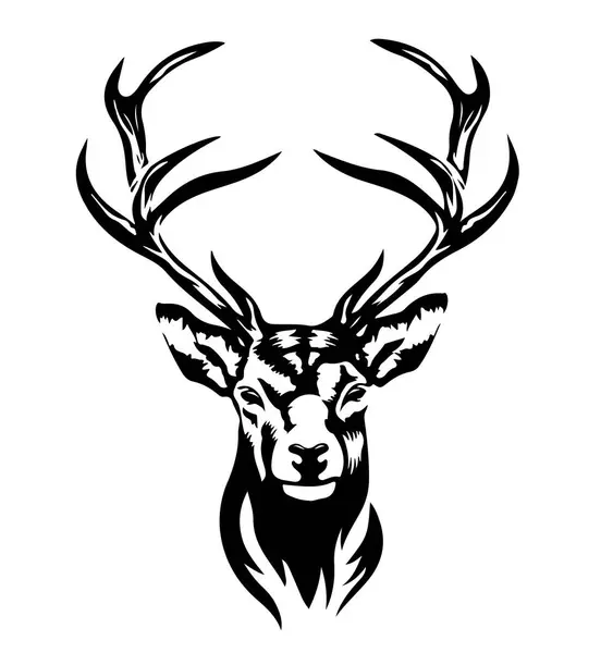 Adult Male Deer Head White Background — Stock Vector