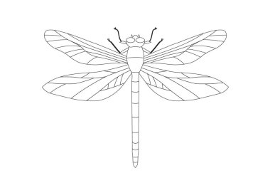 On an white background is there an Fire dragonfly for illutrator clipart