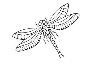 Beyaz arka planda kötü huylu bir ateş böceği var.