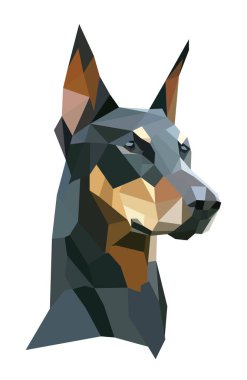 Beyaz arkaplanda çizim yapan bir doberman