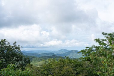 Ağaçlar Phuket Tayland Whit bulutları