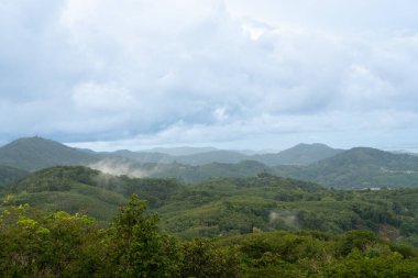 Ağaçlar Phuket Tayland Whit bulutları