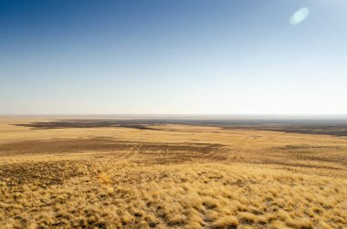 Scorched grass in the autumn steppe