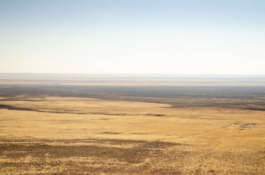 Scorched grass in the autumn steppe
