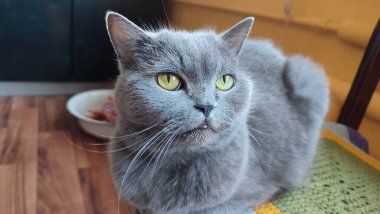 Güzel parklar doğa ve bitkiler  .