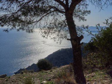 Öğleden sonraları Granada, Endülüs 'teki Cerro Gordo tepesi boyunca yürüyorum.