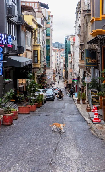 Straßenansicht Von Istanbul — Stockfoto