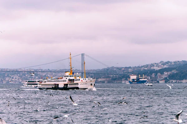Seascape Istanbul Dan Banyak Burung Camar — Stok Foto