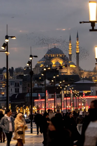 Νυχτερινή Άποψη Του Διάσημου Τζαμιού Της Κωνσταντινούπολης — Φωτογραφία Αρχείου