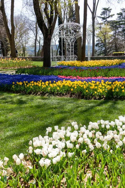 Formas Coloridos Tulipanes Emirgan Park Estambul — Foto de Stock