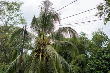 Cianjur, Batı Java, Endonezya - 24 Kasım 2022: Evler, en az 271 kişinin ölümüne, yüzlerce kişinin yaralanmasına yol açan 5,6 büyüklüğündeki depremle hasar gördü.