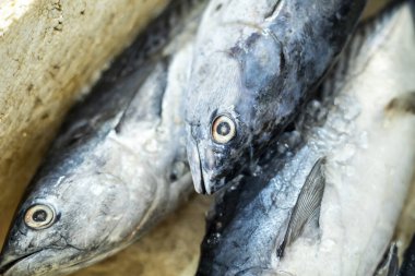 Endonezya 'nın geleneksel pazarında satılık taze deniz balığı. Ujung genteng plajı, Sukabumi, Endonezya