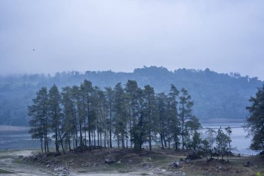 Situ Patenggang Gölü Ciwidey, Batı Java, Endonezya