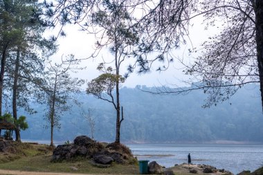 Situ Patenggang Gölü Ciwidey, Batı Java, Endonezya