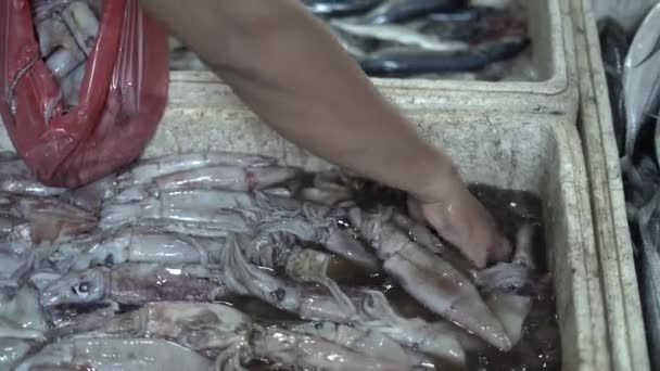 Verse Zeevis Koop Indonesische Traditionele Markt Ujung Genteng Strand Sukabumi — Stockvideo