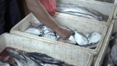 Endonezya 'nın geleneksel pazarında satılık taze deniz balığı. Ujung genteng plajı, Sukabumi, Endonezya
