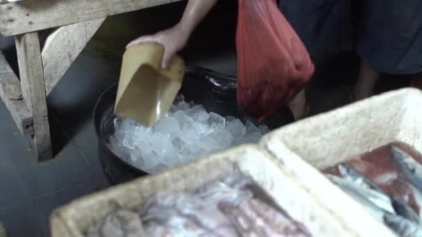 Ikan Laut Segar Untuk Dijual Pasar Tradisional Indonesia Pantai Ujung — Stok Video