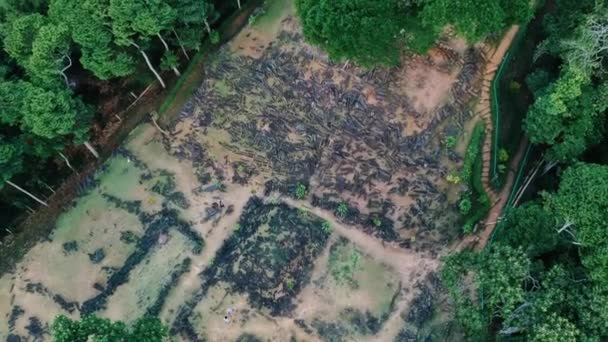 Pandangan Nyata Tentang Situs Megalithik Gunung Padang Cianjur Jawa Barat — Stok Video