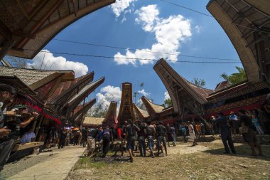 TANA TORAJA, SULAWESI, İNDONEZYA - 26 Kasım 2016 Tana Toraja, Sulawesi, Endonezya