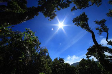 Gün boyunca dağ atmosferi, Gunung Gede Pangrango, Endonezya