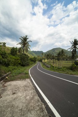 Ormanda yol, Lombok Endonezya
