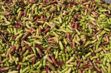 karanfil arka plan doğa kavramı