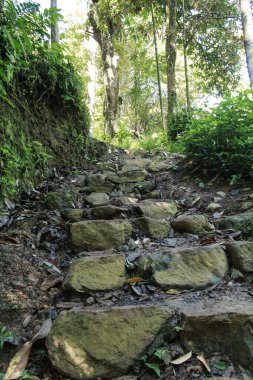 Baduy Endonezya 'da taş yol
