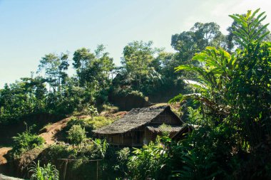 Endonezya 'nın ormanın ortasındaki Baduy kabilesinin geleneksel evi.