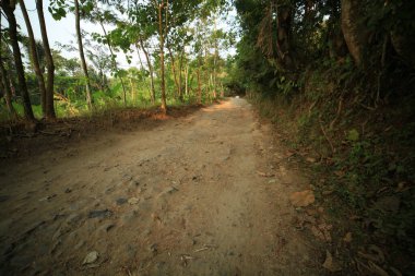 Sokaklar ağaçların yanında parçalandı.