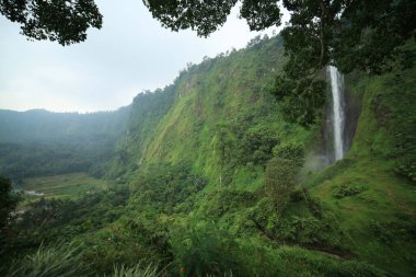 Tepelerdeki şelalelerin doğal atmosferi