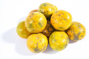 turuncu ve beyaz arkaplan