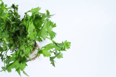 Kereviz yaprakları beyaz arkaplanlı