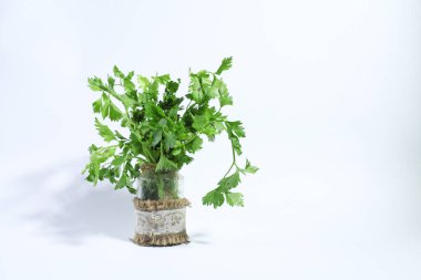 Kereviz yaprakları beyaz arkaplanlı