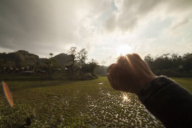 Güneşe doğru sımsıkı sarılmış eller