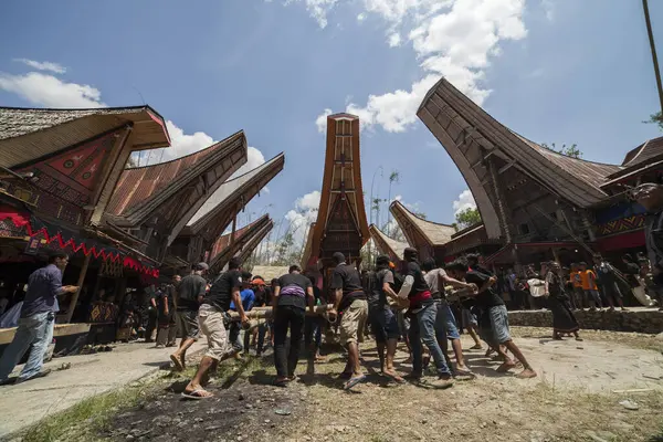 TANA TORAJA, SULAWESI, İNDONEZYA - 26 Kasım 2016: Tana Toraja, Sulawesi, Endonezya 'da cenaze töreni