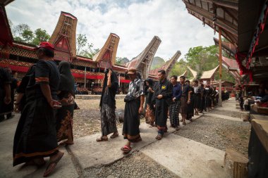 TANA TORAJA, SULAWESI, İNDONEZYA - 26 Kasım 2016: Tana Toraja, Sulawesi, Endonezya 'da cenaze töreni