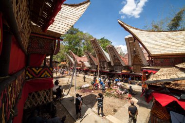 TANA TORAJA, SULAWESI, İNDONEZYA - 26 Kasım 2016: Tana Toraja, Sulawesi, Endonezya 'da cenaze töreni