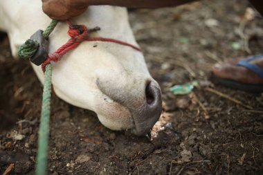 Gün boyunca soyut plastik arkaplan