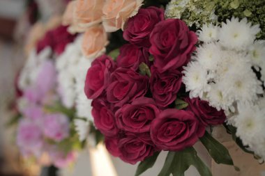 Gün boyunca soyut plastik arkaplan