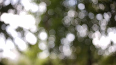 soyut arkaplan yuvarlak ışık